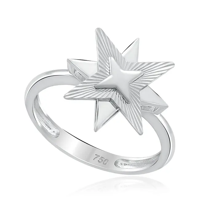 Anel Estrela de Ouro Branco