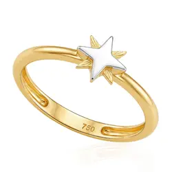 Anel Estrela de Ouro Amarelo com Detalhes em Ródio 121756